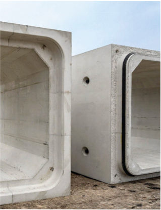 IBIPC catalogue photo · p. 19
